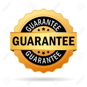 36053838 guarantee business icon (1)